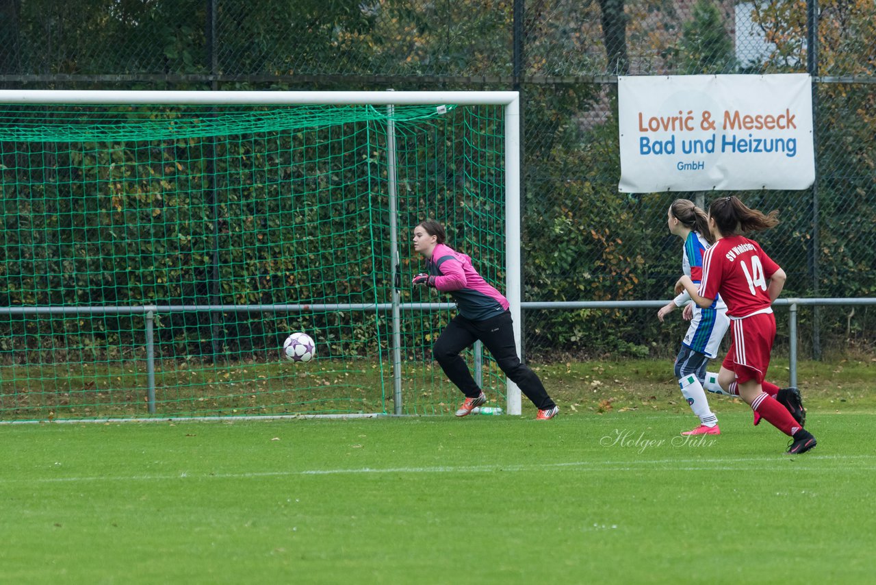 Bild 217 - B-Juniorinnen SV Henstedt Ulzburg - SV Wahlstedt : Ergebnis: 11:0